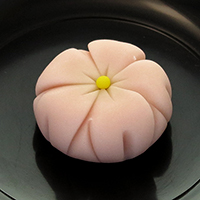 上生菓子 桜