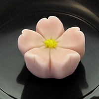 上生菓子 桜